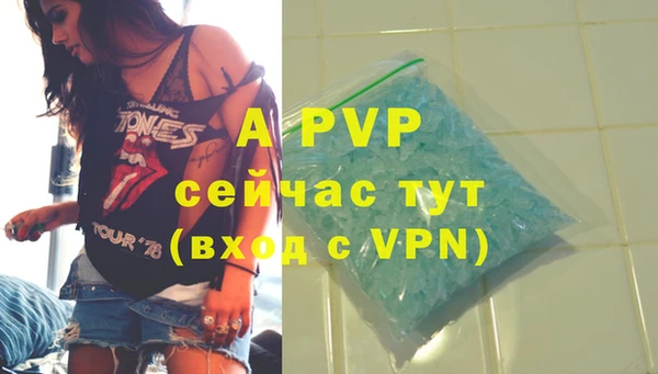 стаф Новодвинск