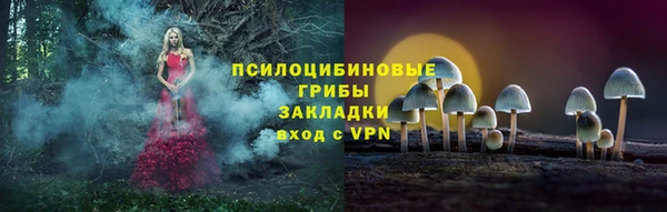 гидропоника Новозыбков