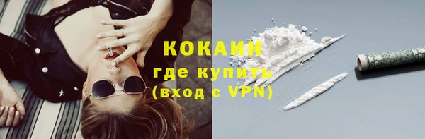 стаф Новодвинск