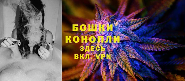 гидропоника Новозыбков