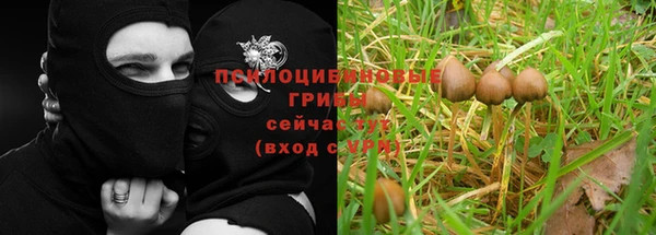 меф Новокубанск