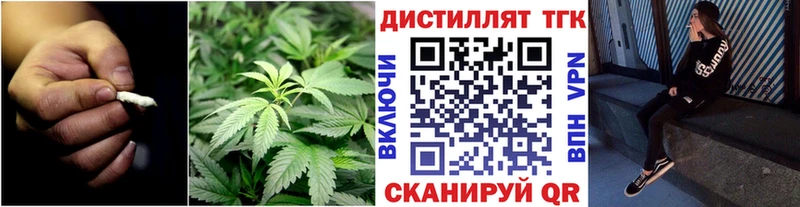 ТГК концентрат купить Белоозёрский